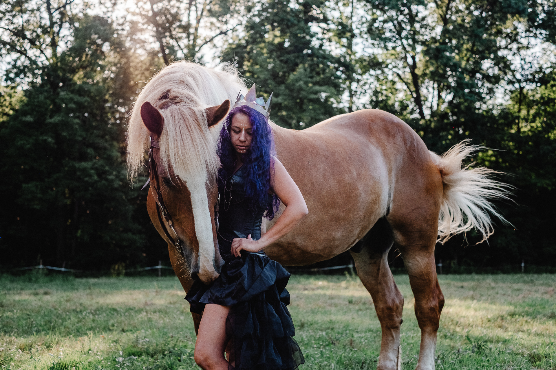 fantasy draft horses gold crown queen-415-17