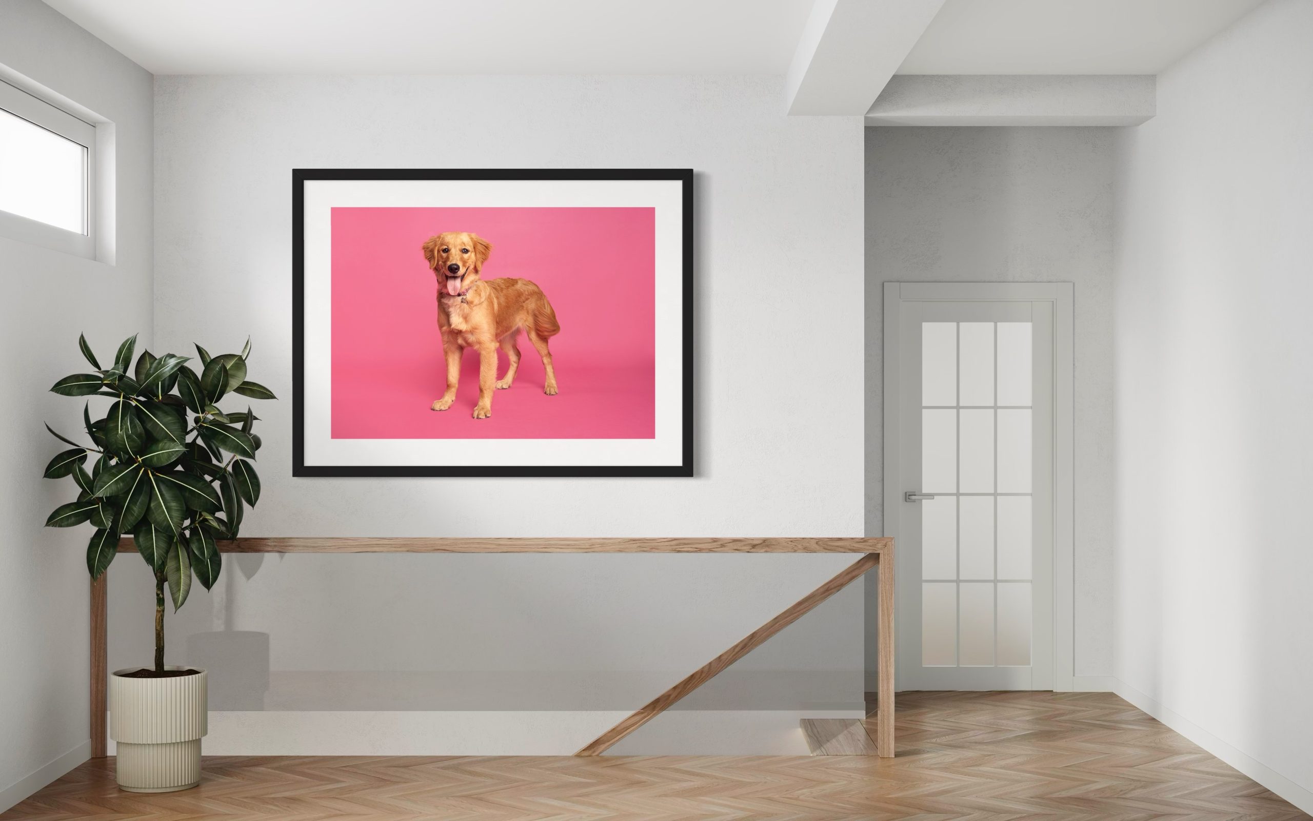 Framed-dog-art-for-Chicago-home