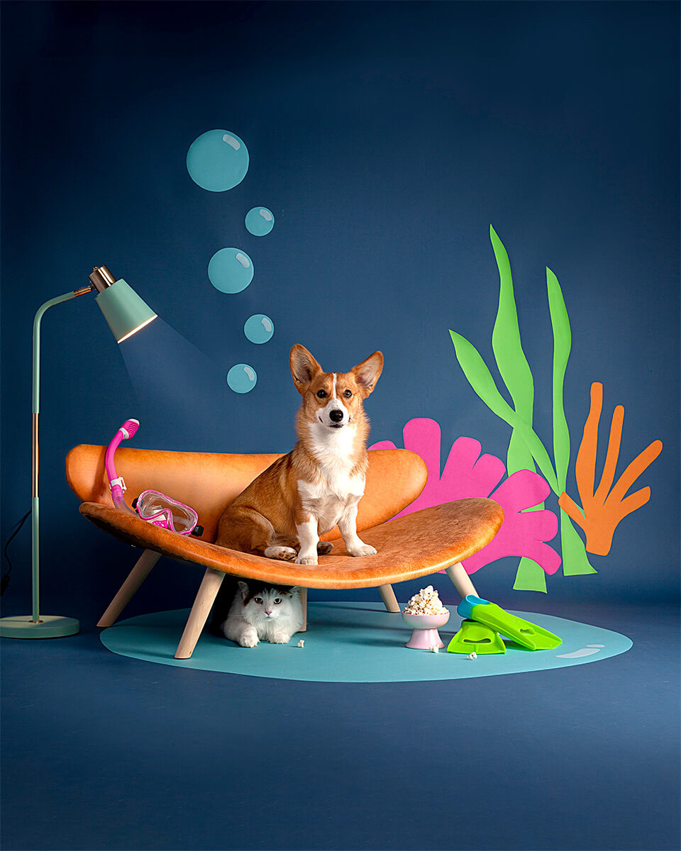 Underwater-surealistic-scene-of-a-cat-and-dog-conceptual-photograph